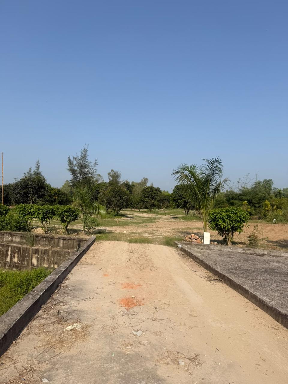 OWN A PIECE OF NATURE - FOR A BETTER TOMMOROW – Saharanpur-Uttrakhand Border, Saharanpur – View
