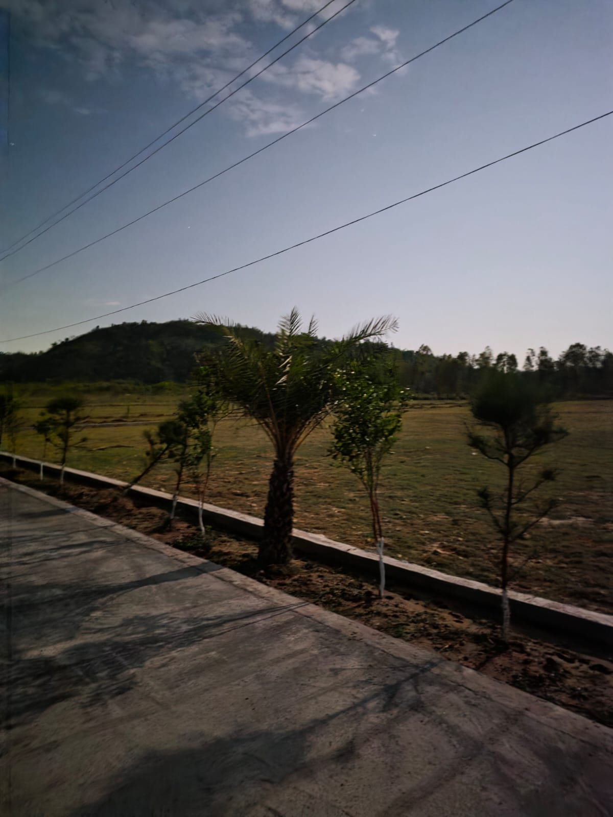 Forestia valley plots 