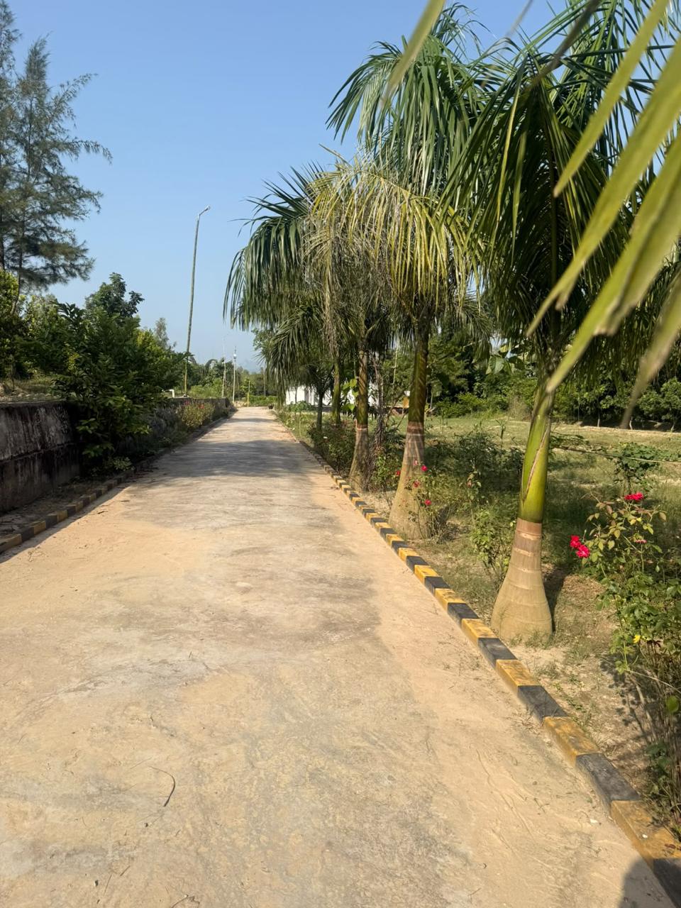 OWN A PIECE OF NATURE - FOR A BETTER TOMMOROW – Saharanpur-Uttrakhand Border, Saharanpur – View